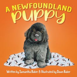 A Newfoundland Puppy